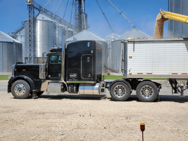 Bulk Commodity Shipping Service